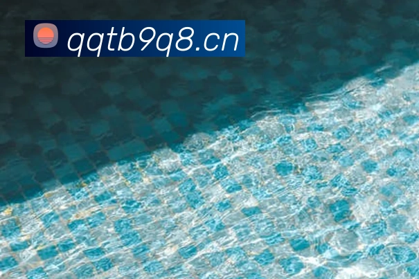 App Interface Preview